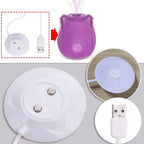 מטען מגנטי USB לויברטור
